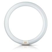 Philips Ronde G10q-tl-lamp Master Circular TL-E, 40W 830