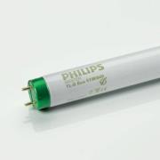 Philips G13 T8-TL-D-lamp Master Eco van 32W, 840