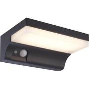 NORD Wand licht IP65 2W SMD LED 3000K, solar + sensor, zwart