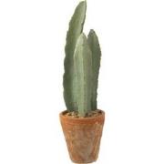 J-line - Cactus 3 Stuks In Pot Plastiek Groen Small - 14x14x47cm