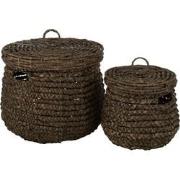 J-line - Set 2 Manden Maurice Waterhyacinth Donkerbruin - 50x50x44cm