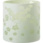 J-line - Windlicht Bloemen Glas Groen Extra Large - 24x24x24cm