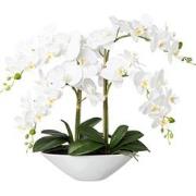 Kopu® Kunstbloem Orchidee 53 cm Wit met Schaal Ovaal - Phalenopsis