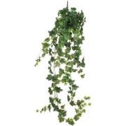 Mica Decorations hedera hangend maat in cm: 24 x 15 x 130