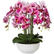 Kopu® Kunstbloem Orchidee 54 cm Roze met Schaal - Phalenopsis