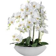 Kopu® Kunstbloem Orchidee 60 cm Wit met Schaal Ovaal - Phalenopsis