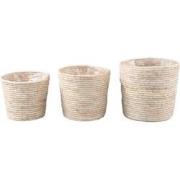 PTMD Mand Amer - 20x18x20 cm - Maisblad - Naturel - Set van 3