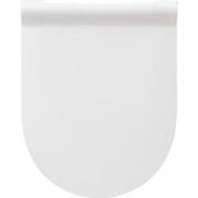 Ultradunne WC bril D-vorm - Toiletbril met deksel - Softclose - Easy C...