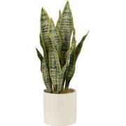 J-line - Plant Sansevieria In Pot Pvc Groen Large - 14x14x49cm