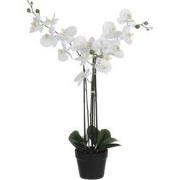 Mica Decorations Phalaenopsis Kunstplant - L65 x B45 x H75 cm