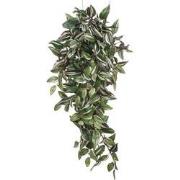 Mica Decorations tradescantia hangend groen maat in cm: 80 x 30 x 15