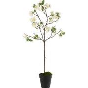 J-line - Bloesemboom Plastiek Wit/bruin Medium - 18x25x88cm