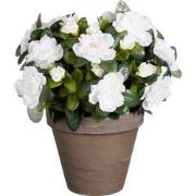 Mica Decorations Azalea Kunstplant in Bloempot Stan - H31 x Ø26 cm - W...