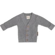 Baby's Only Vestje Soul - Grijs - 62 - 100% ecologisch katoen