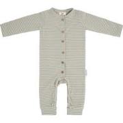 Baby's Only Boxpakje Stripe - Urban Green - 74 - 95% ecologisch katoen...