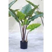 Kunstplant Alocasia 140 cm