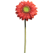 Daisy Gerbera red 48 cm kunstbloem