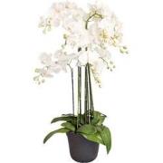 Orchidee kunstplant 9-tak 110 cm, wit