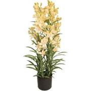 Cymbidium kunstplant 125 cm, groen