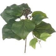 Hedera franse steek x10lvs 25 cm kunstbloem zijde nepbloem