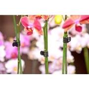 Orchidee clips zwart set a 10 stuks