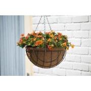 2 stuks - Hanging basket metaaldraad groen geepoxeerd incl. ketting H1...