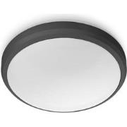 Doris Ceiling 6W 27K Black IP54 HV