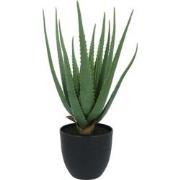 Kopu® Kunstplant Aloe Vera 55 cm in zwarte Bloempot - 17 bladeren