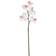 Witte kunstphalaenopsis orchideestengel H45