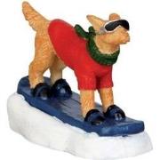 Snowboarding dog