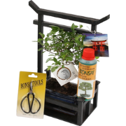 Bonsai Starterkit - Bonsai, schaartje, voeding, torri - Breed 15cm - H...