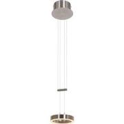 Moderne Hanglamp Aurora Staal