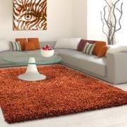 Tapijtenloods Basic Shaggy vloerkleed Terra / Oranje Hoogpolig- 200x29...