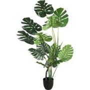 PTMD Tree Green Monstera In Black Pot