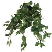 Mica Decorations Scindapsus Kunstplant - 45x25x25 cm - Groen