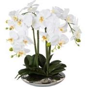 Kopu® Kunstplant Orchidee 4 takken 41cm in Zilveren Schaal  - Wit