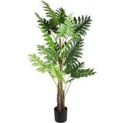 PTMD Leaves Plant Green Philodendron In Black Pot L