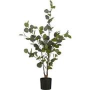 Mica Decorations Eucalyptus Kunstplant in Bloempot - H95 x Ø55 cm - Gr...