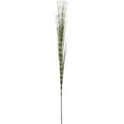 Feuillage Herbe effet rayure - Vert et bordeaux / 121 cm