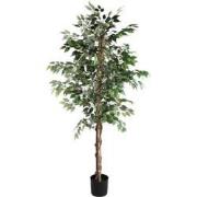 PTMD Kunstplant Tree - 120x100x190 cm - Plastic - Zwart