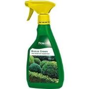 2 stuks - Buxus Groen 500ml