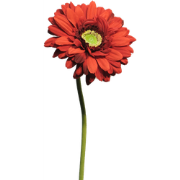 Gerbera Nice red 48 cm kunstbloem