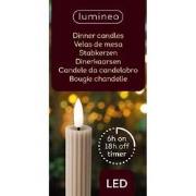 LED dinerkaars d2h24 cm lgrs/wwt 2st III kerst