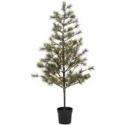 House Doctor Kerstboom Peuce natuur 180cm