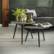 Industriële Salontafel Set van 2 Harper Metallic Grijs