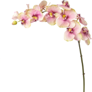 Roze kunstmatige phalaenopsis orchideestam H104