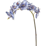 Blauwe kunstmatige phalaenopsis orchideestam H100