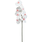 Witte kunstphalaenopsis orchideestengel H60