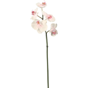 Roze en witte phalaenopsis kunstorchideestam H45