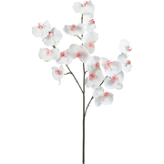 Witte kunstphalaenopsis orchideestengel H66